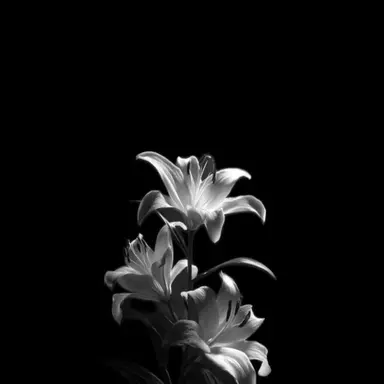 Profile image of 유병철