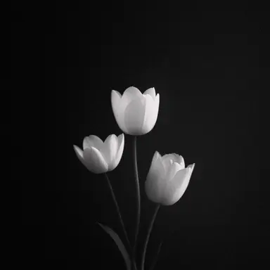 Profile image of 김구택