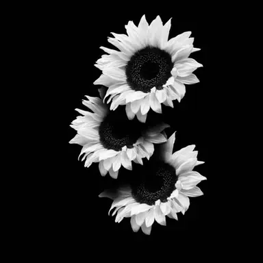 Profile image of 함우주