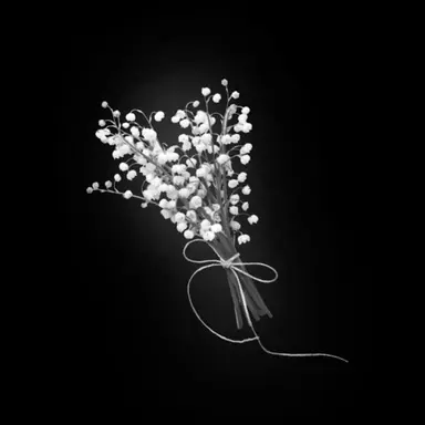 Profile image of 김태오