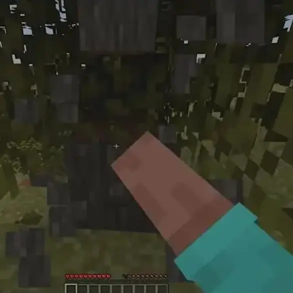 Blue_tongue_geck의 Minecraft world