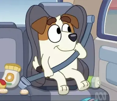 Profile image of Jack