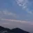 리얼리티 러브 프로