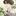 시온 크로포드