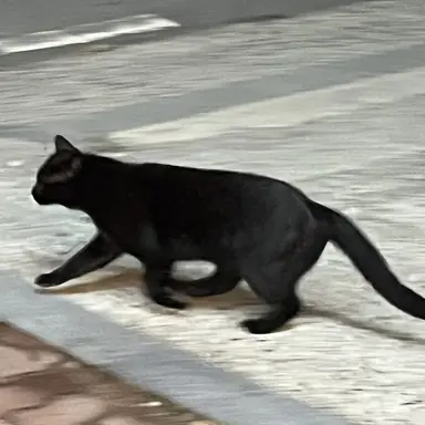 Profile image of 이상혁