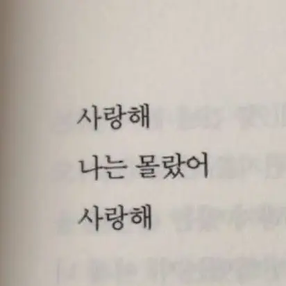 looksim_eden.0829의 복구 케이크버스 김준구