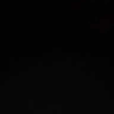 Profile image of 설윤아