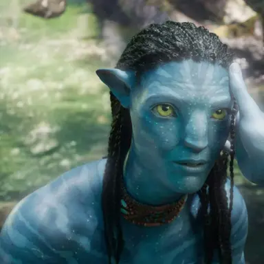 Profile image of 네테이얌