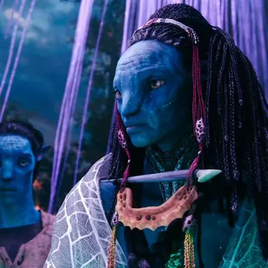 Profile image of 모앗