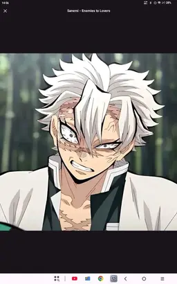 Profile image of Sanemi Shinzagawa