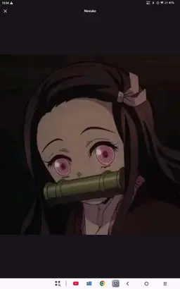 Profile image of Nezuko Kamado