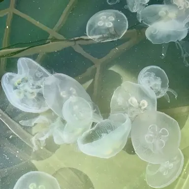 Profile image of 우유참치