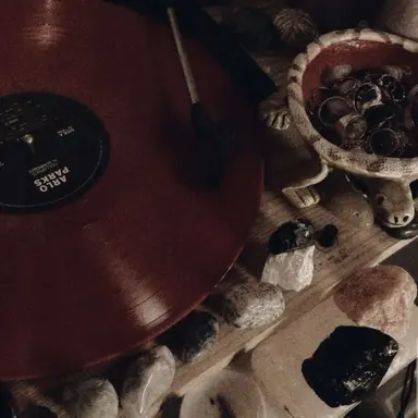 Profile image of 유기사