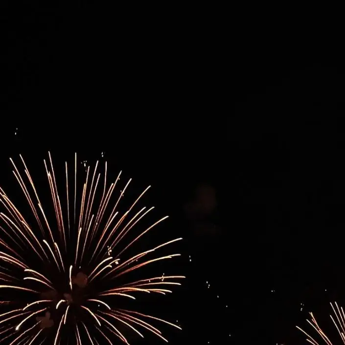 SlimWorm4433의 노진표