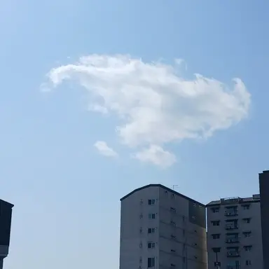 Profile image of 여우