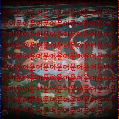 Profile image of 뽀삐