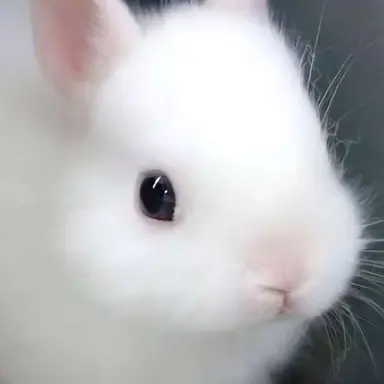 Profile image of 지훈