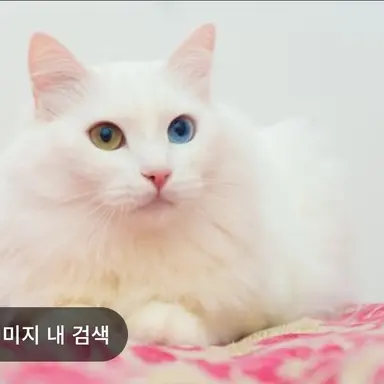Profile image of 웬다