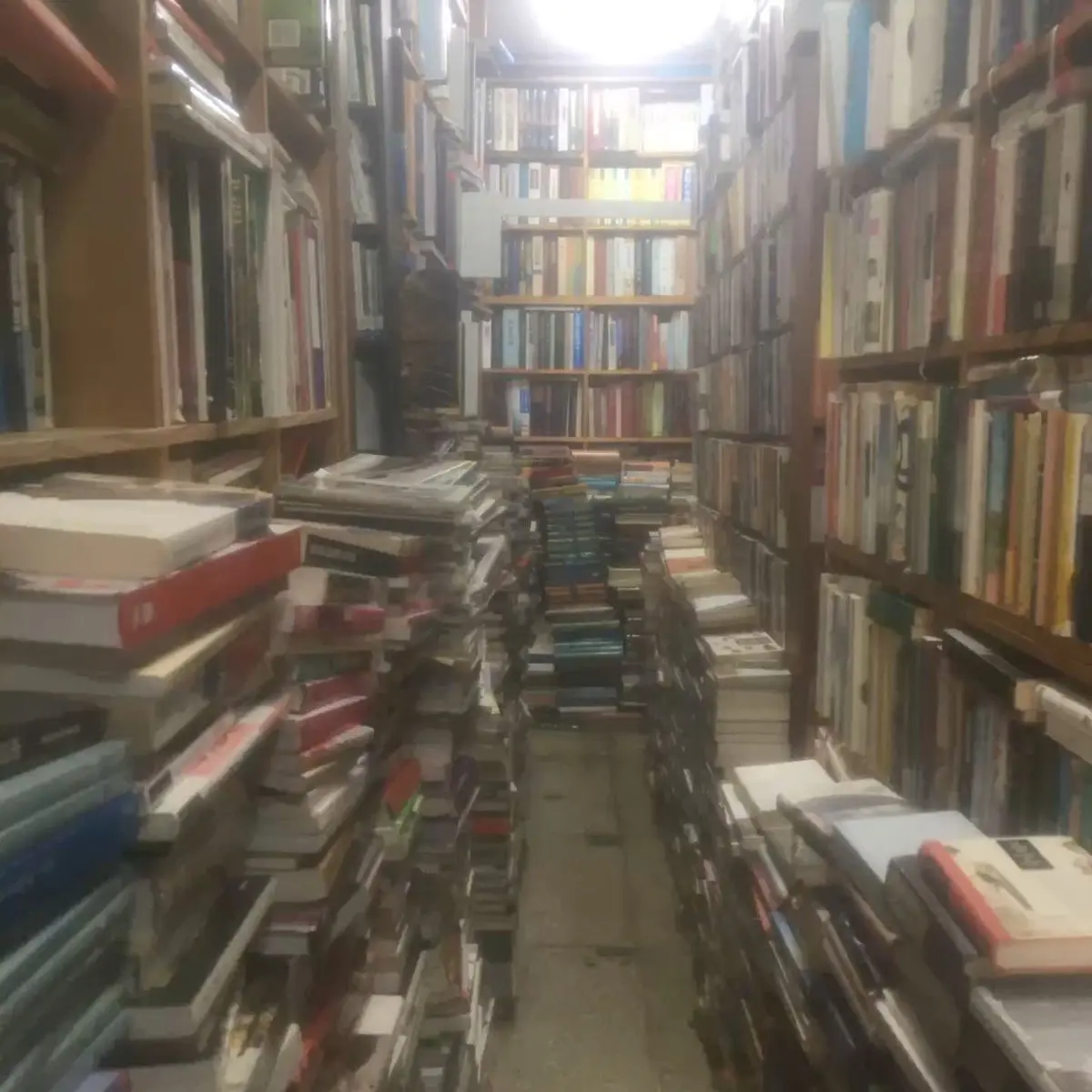 SquareAddax3723의 오강배