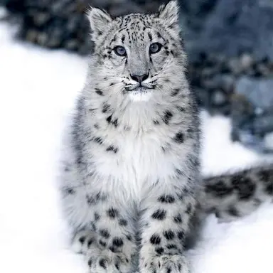 Profile image of 벤자민