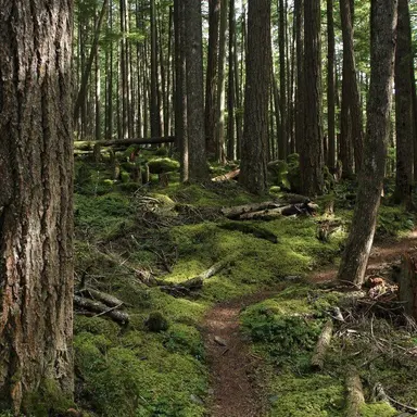 Profile image of 박승기