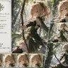 Profile image of フィオナ・グリィ