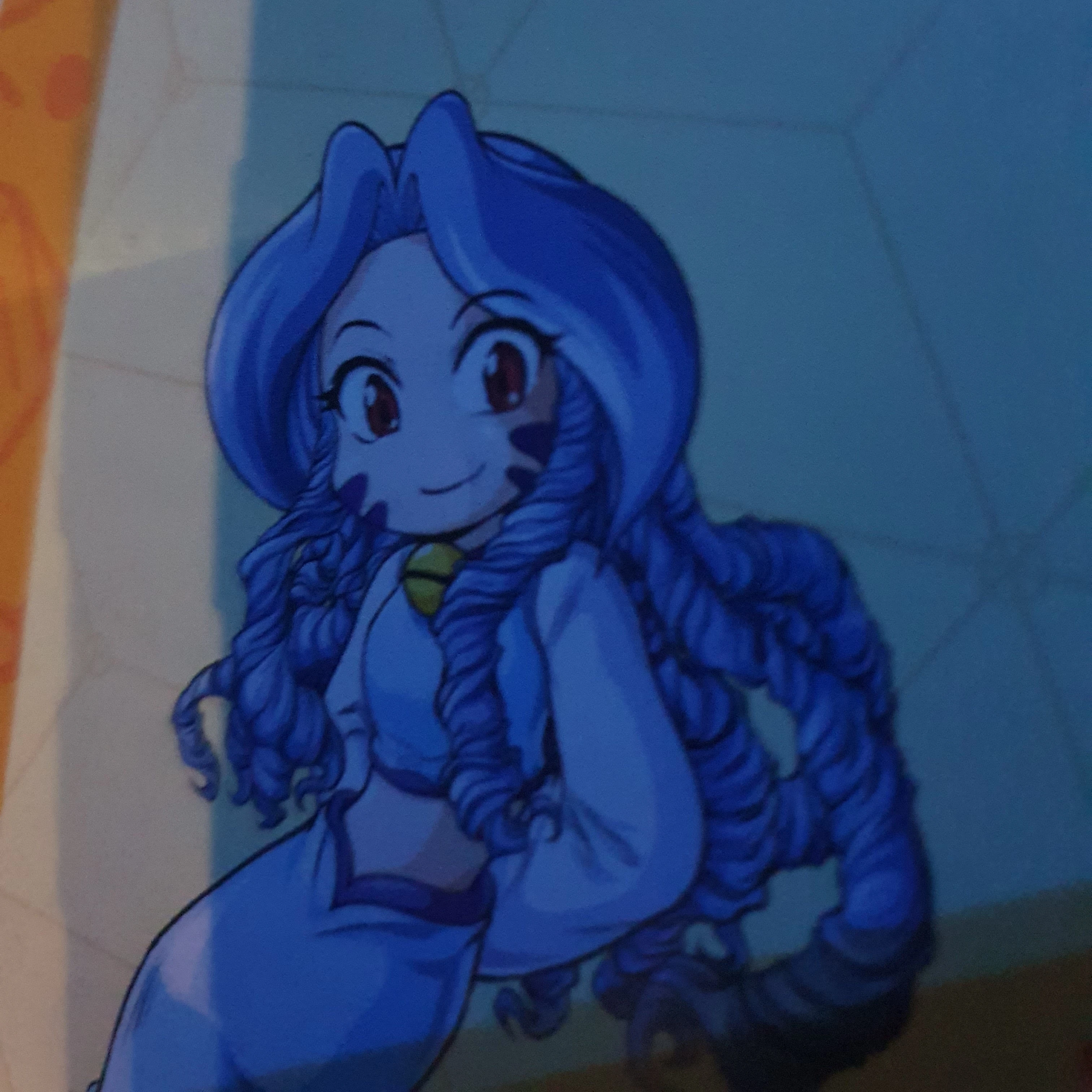 주카