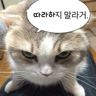 유기사