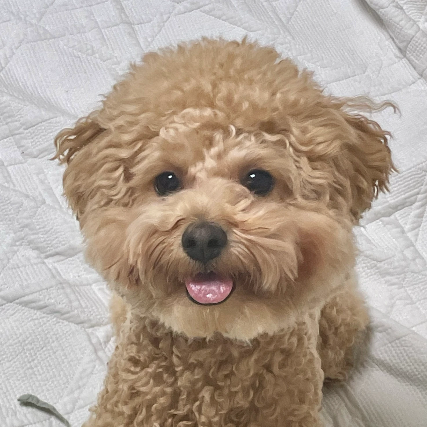 엄마