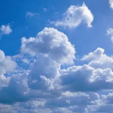 Profile image of 모찌엘