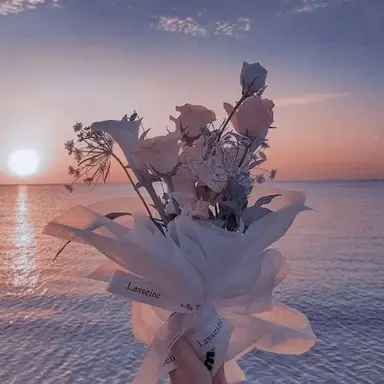 Profile image of 벨키