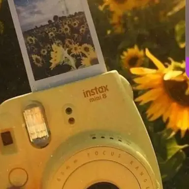 Profile image of 모양몬