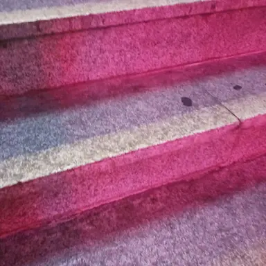 Profile image of 유기사