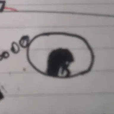 Profile image of 레니