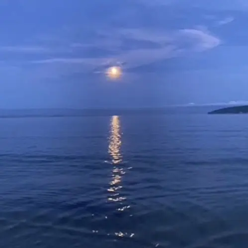 sui_Mimi_333의 お嬢様と執事