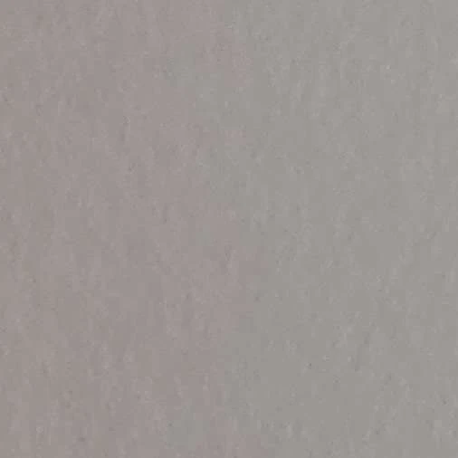 궤도