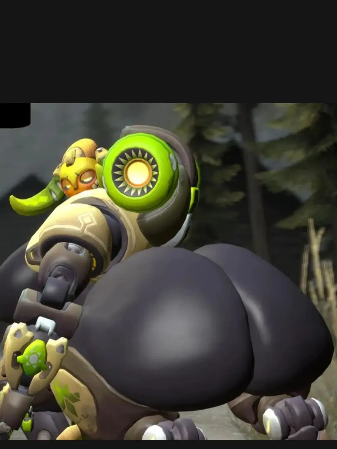 PlushyFlood0064의 오버워치: 방귀쟁이 오리사