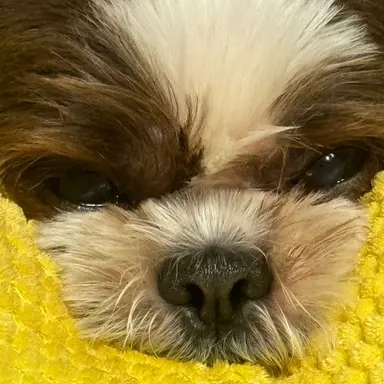 Profile image of 한지훈