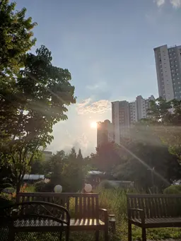 Profile image of 돈키호테