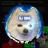 DJ DOG
