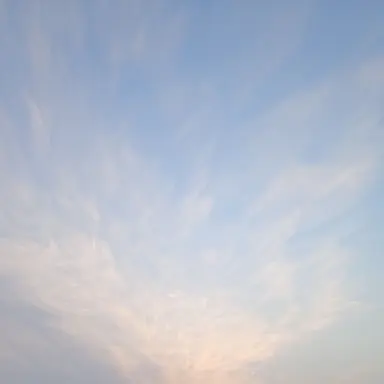 Profile image of 唯織