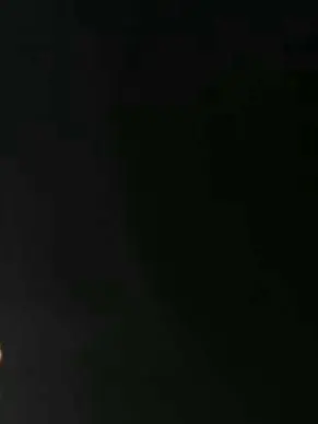 Mnn1001의 세르카이온