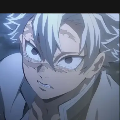 Profile image of Sanemi Shinazugawa