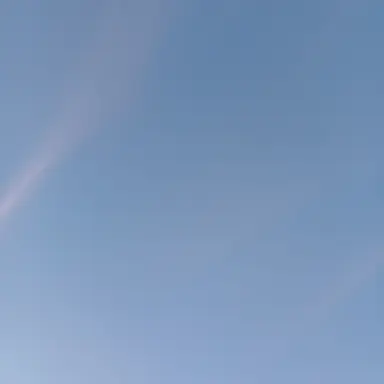 Profile image of 고 과장