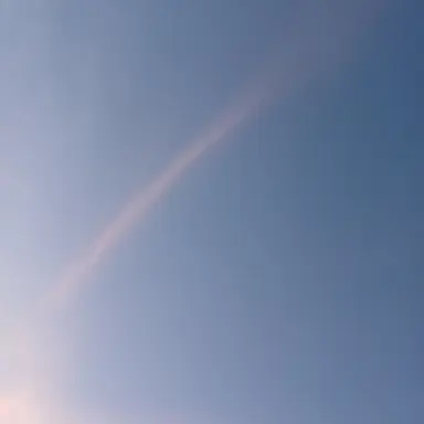 Profile image of 유보나