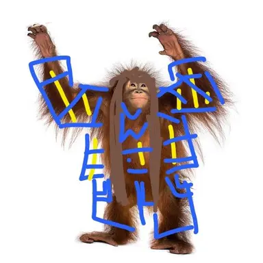 Profile image of Park Math