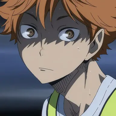 Profile image of Hinata Shoyo