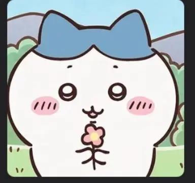 Profile image of ハチワレ