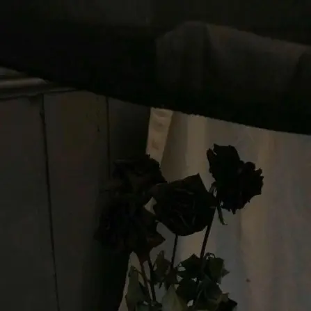 ....4의 𝑪