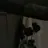 𝑪